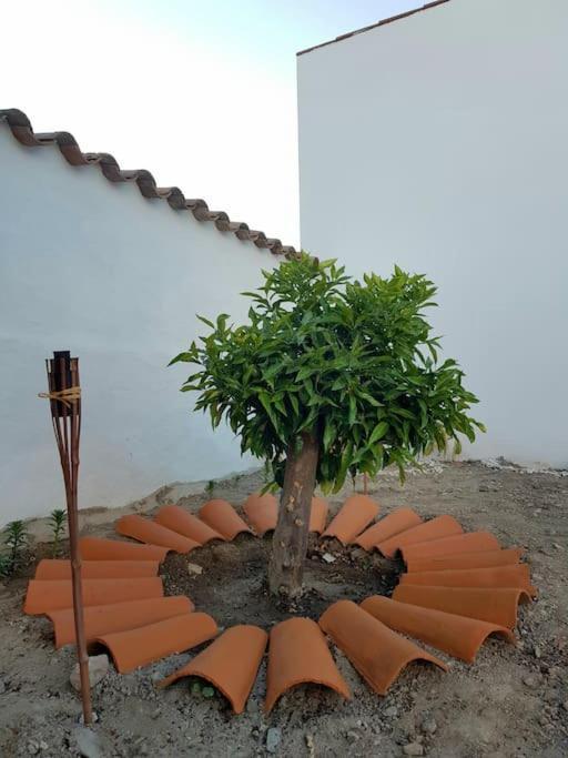 Casa Da Enxota Villa Povoa de Sao Miguel Bagian luar foto