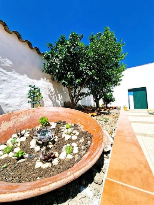 Casa Da Enxota Villa Povoa de Sao Miguel Bagian luar foto